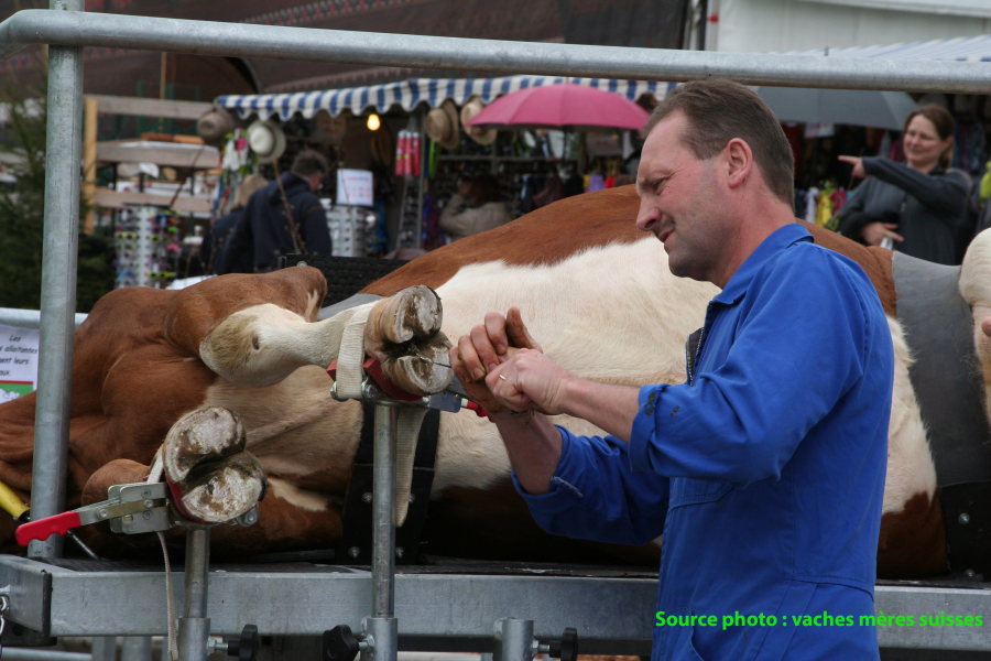 BEA_2012_Klauenpflege_avec_source