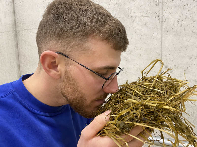 ENSILAGE_IMG_2899_PAE