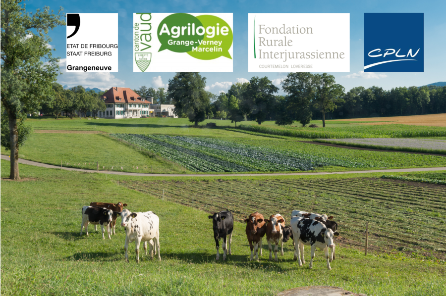 Herd-Manager_journe_23012026